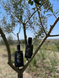 ITALIA | SICILIA | Extra Virgin Olive Oil - il SALTO | 250 ml