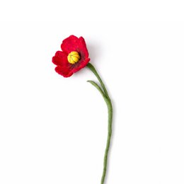 Fiore di papavero rosso