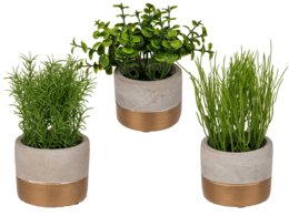 Out of the blue