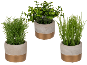 Decoration herbs in grey/gold coloured cement pot,