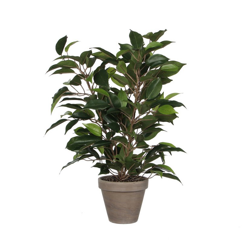 Kunstplant Ficus natasja Groen