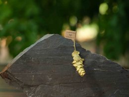 SALSA DE MONTAÑA 20 TIGES