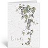 LIEFS - PHILODENDRON SCANDENS