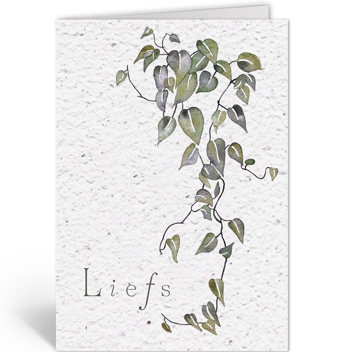 LIEBE - PHILODENDRON SCANDENS