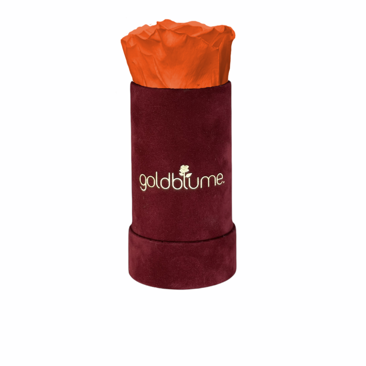 Collection Velours Bordeaux