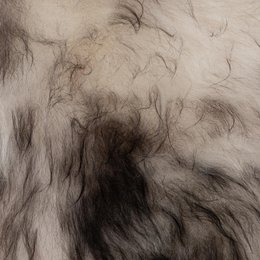 WOOOL Schaffell - Isländisch Weiß Schwarz