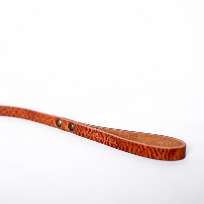 No fuss dog leash | Camel