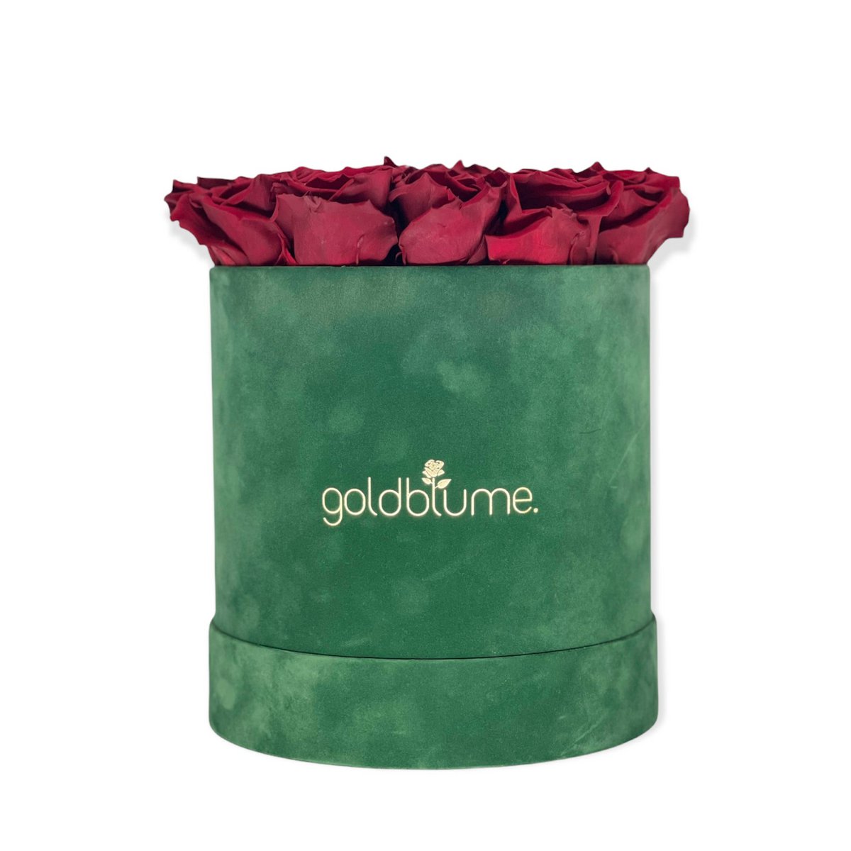 Velvet Green Collection