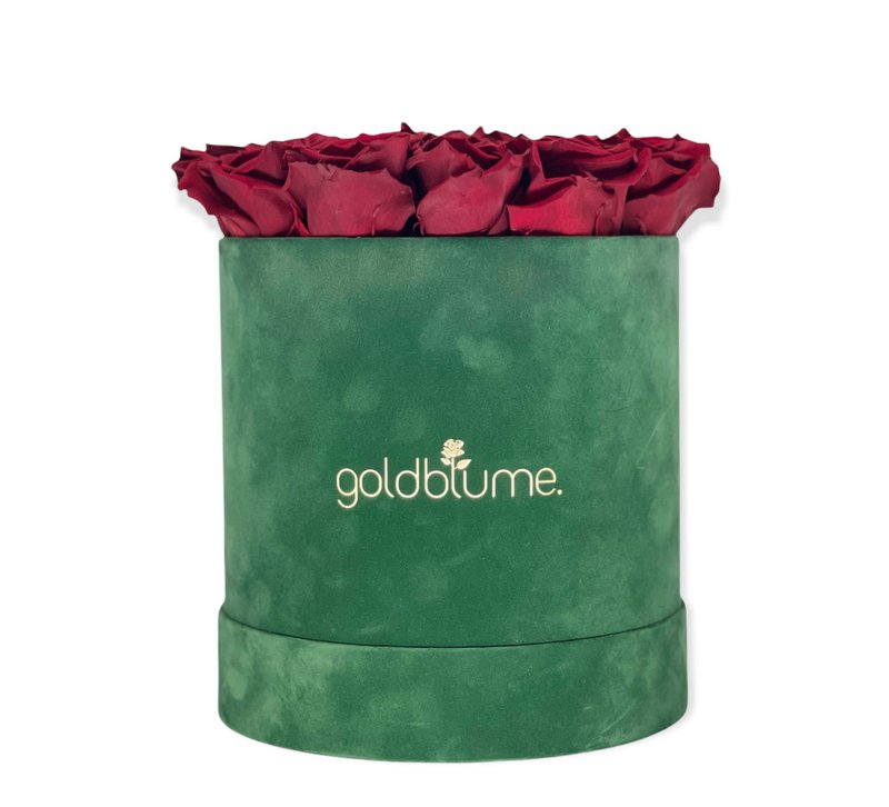 Velvet Green Collection