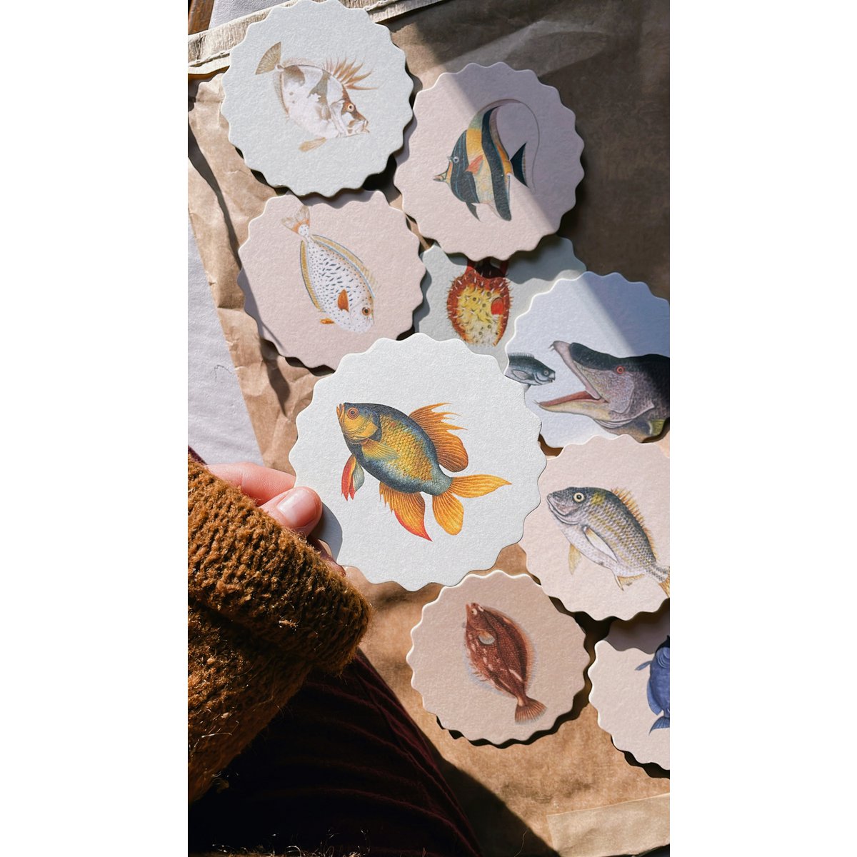 Sottobicchiere 10 motivi pesce - 12 set