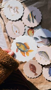 Untersetzer/Coaster 10 Motive Fische - 12 Sets