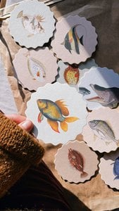 Untersetzer/Coaster 10 Motive Fische - 12 Sets