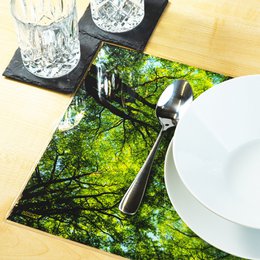 Artipics Tovagliette Tovagliette Tovagliette Lavabili 4 pezzi Tovagliette Lichtblick plastica 42 x 30 cm Tovaglietta naturale, motivo foresta particolarmente bello con riflessi di luce
