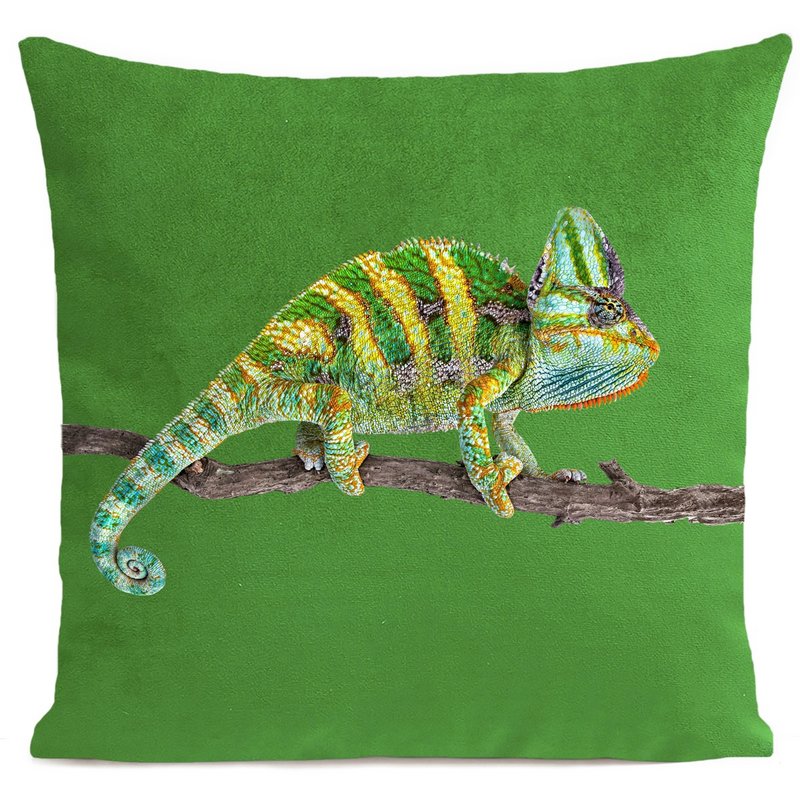 Kissenreptil, Chamäleon