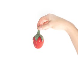 Buddy. Dog toys from Wollfilz "Strawberry"