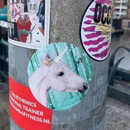 Stickersetje Unicorn Groen