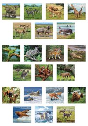 Visor 3D - Animales salvajes