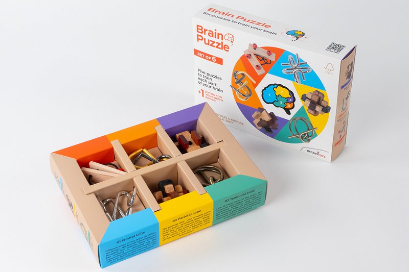 Brain Puzzles - set of 6