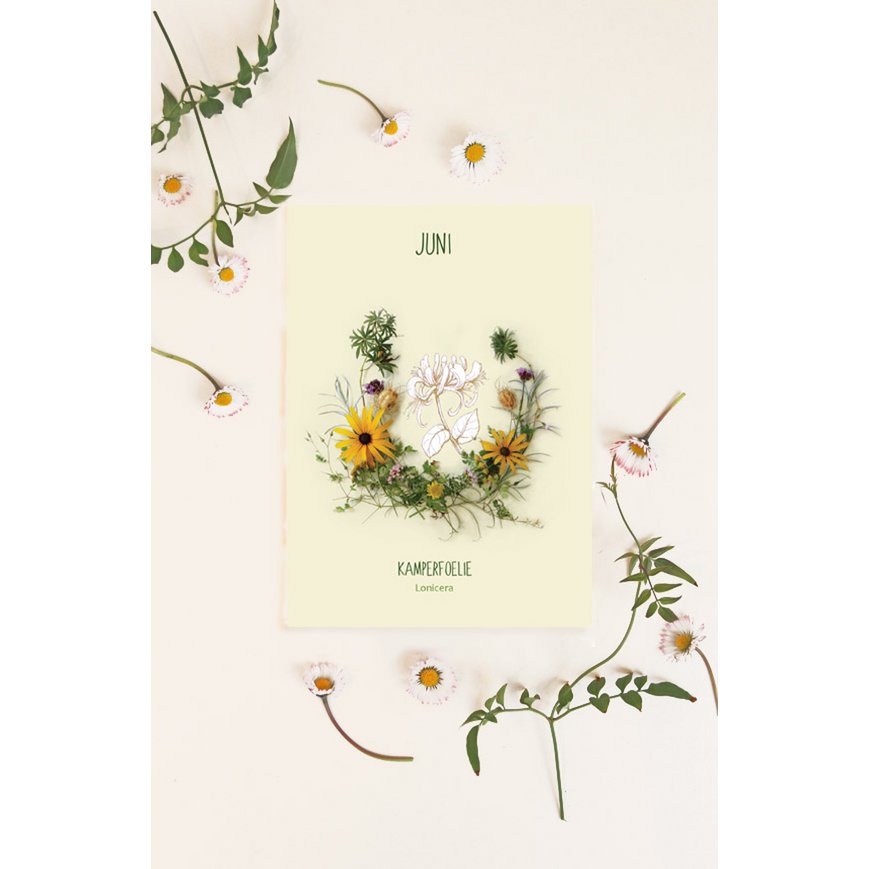 Kaart maandbloem juni