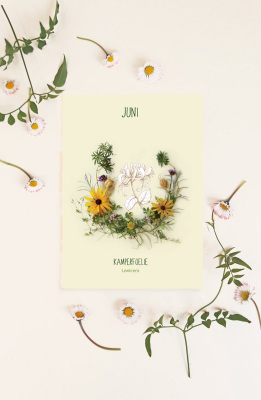 Map monthly flower June