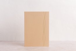A5 Bullet journals