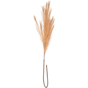 Pampas Droog, L104cm, naturel look