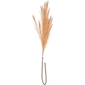 Pampas Droog, L104cm, naturel look