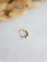 Mini Dune hoops