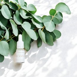  Eucalyptus essential oil, 10ml/0.34oz, natural, pure, organic, for aromatherapy and wellness.