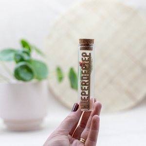 Dried flowers and text in tube - Hip-hip - Birthday - Party