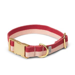 My red powder collar