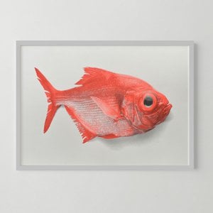 Riso Artprint Fisch Aki, Risographie, DIN A3