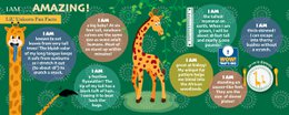 I Am Lil' - Giraffe