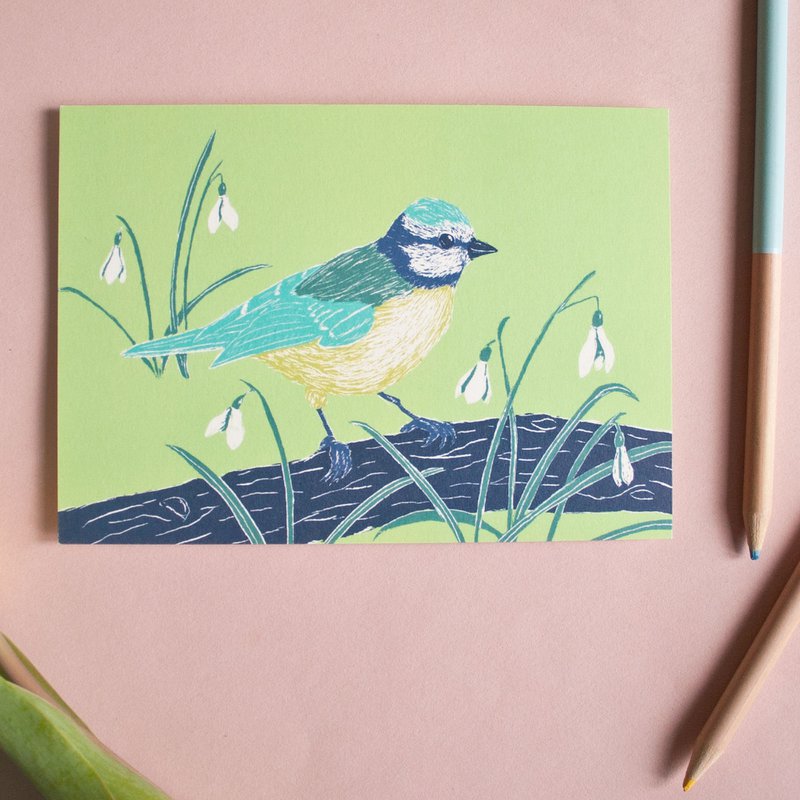 Postcard | tit