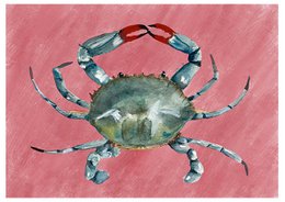 Póster (impresión de arte): cangrejo verde