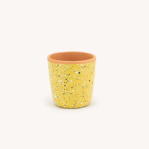 Splashed planter mustard