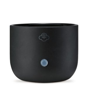 Serene House - Serene Pod® Wax Warmer - Sprout Black