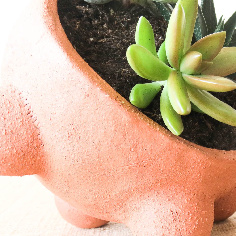 Emma Terracotta Planter