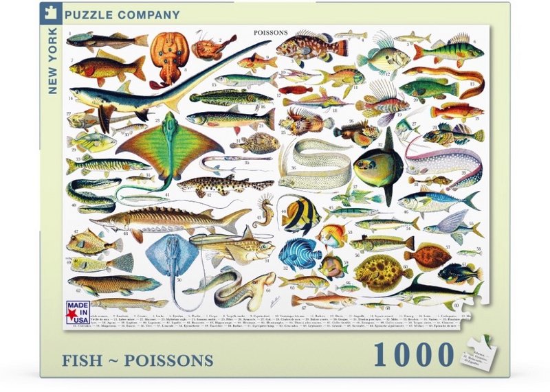New York Puzzle Company Puzzle Fish ~ Poissons - 1000 pieces