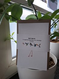 Colorful flamingo illustration on a greeting card with minimal design.