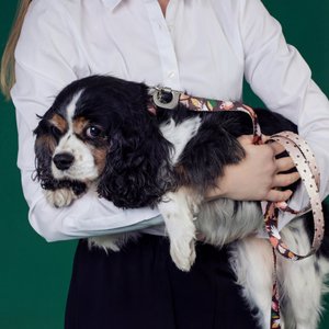 Clemens Dog Leash