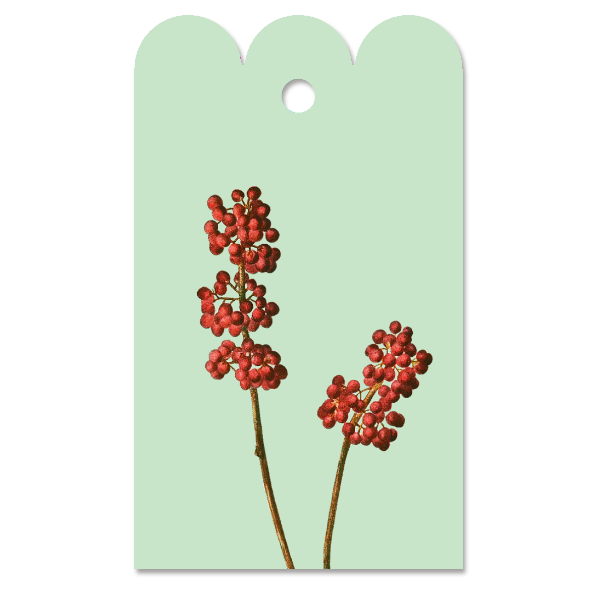 Gift Tag Sorbus