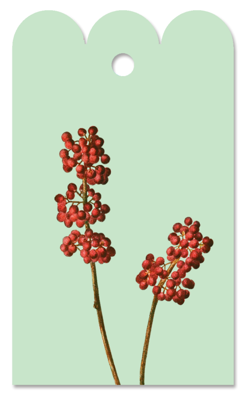 Gift Tag Sorbus