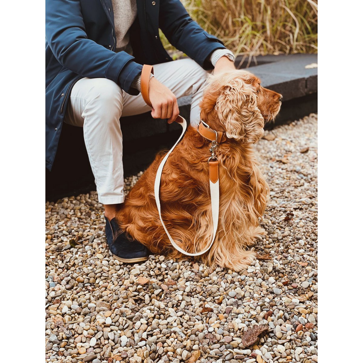 Airtag Dog Collar