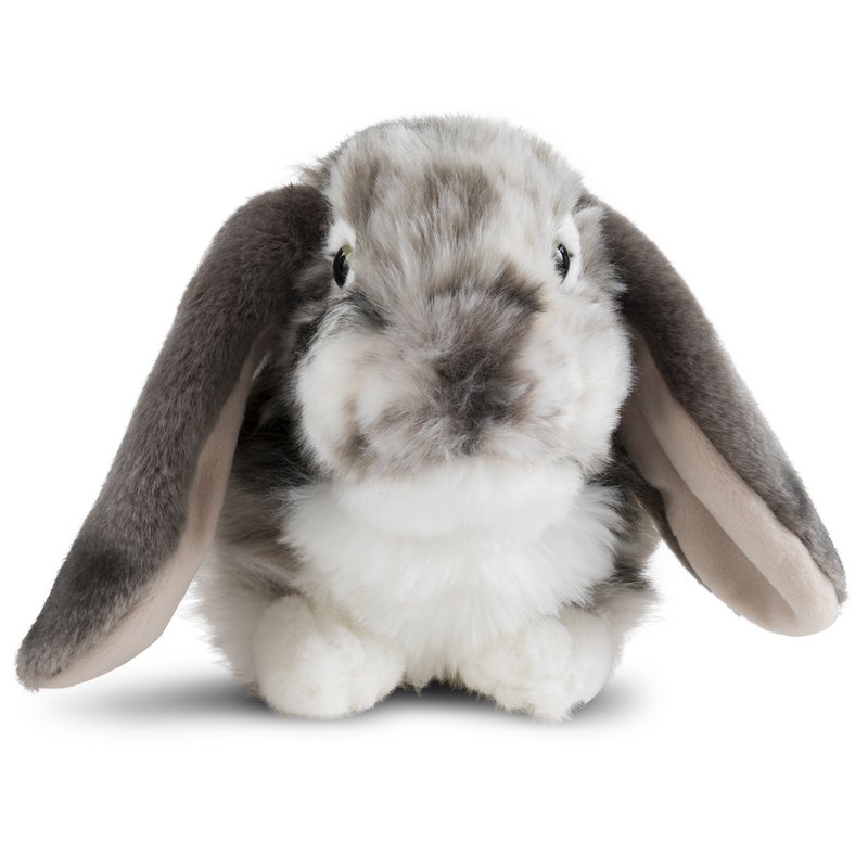 DUTCH LOP EARED RABBIT GREY 30cm