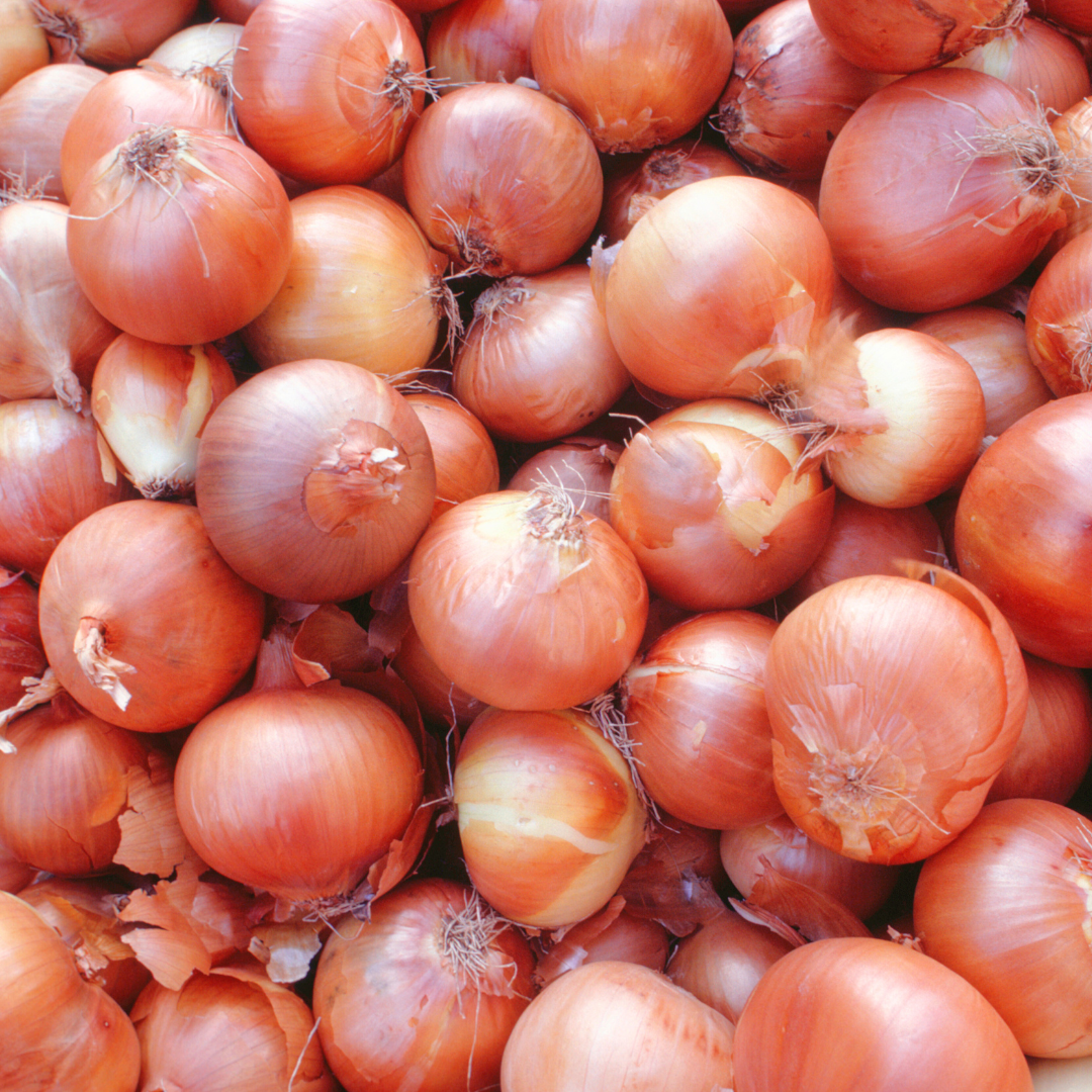 Sale di cipolla - sale da condimento intensamente aromatico