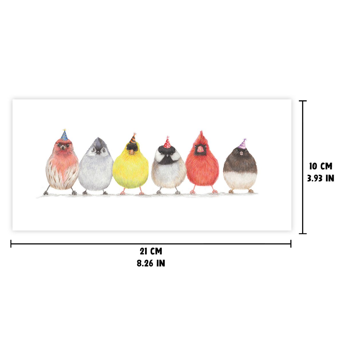 Cute Party Birds - Birthday Card - 21x10cm