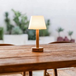 Zoë Light Brown Wooden Rechargeable Table Lamp