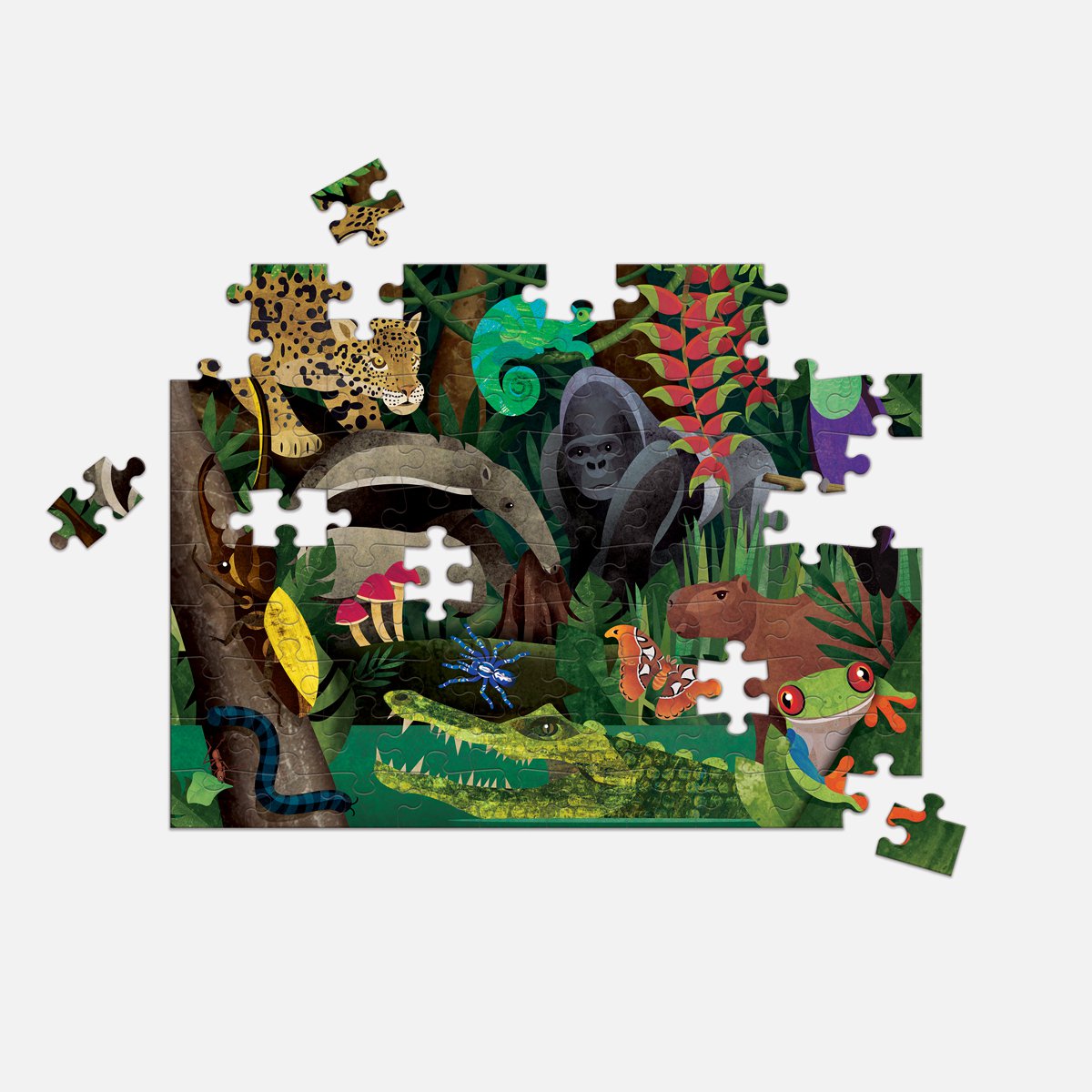 Puzzel - Regenwoud Vanboven En Vanonder