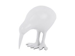 Statue Kiwi fugl